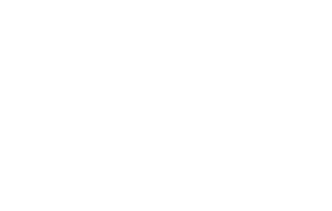 Wella Professionals