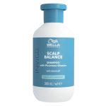 Wella Pro SCALP BALANCE Аnti-dandruff Шампунь от перхоти для всех типов волос 300 мл